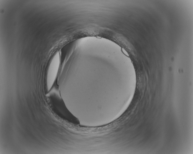 X0000085070023200704021422