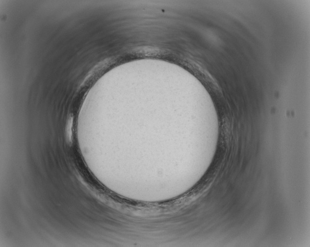 X0000085070024200704021422