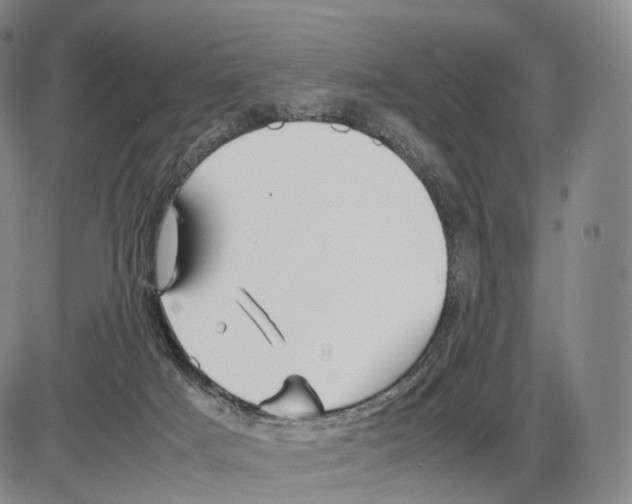 X0000085070025200704021422