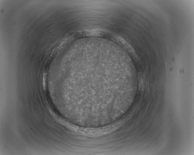 X0000085070026200704021422