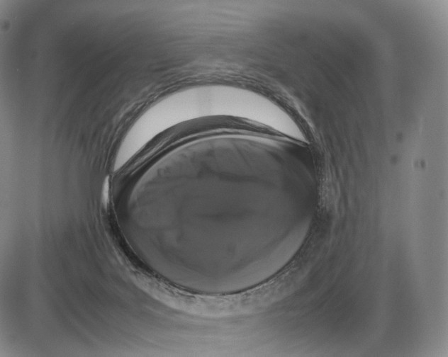 X0000085070027200704021422