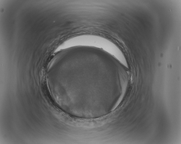 X0000085070029200704021422