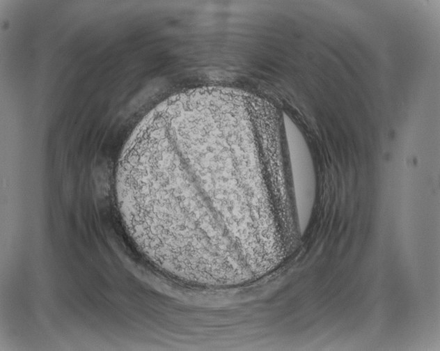 X0000085070032200704021422