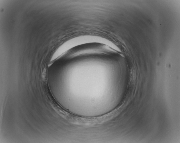 X0000085070033200704021422