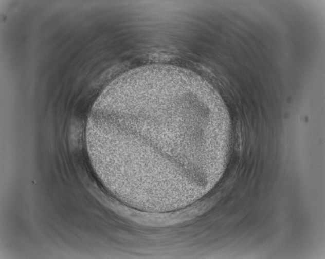 X0000085070034200704021422