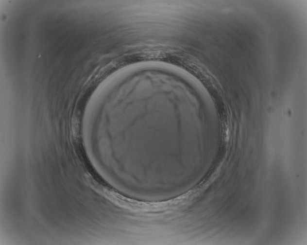 X0000085070035200704021422