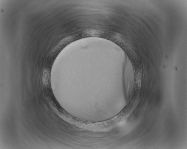 X0000085070036200704021422