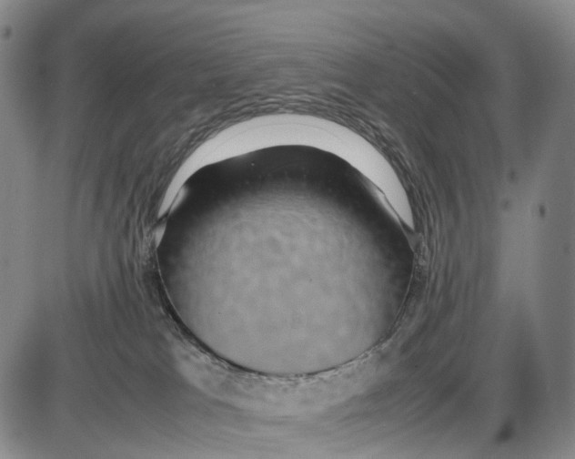 X0000085070037200704021422