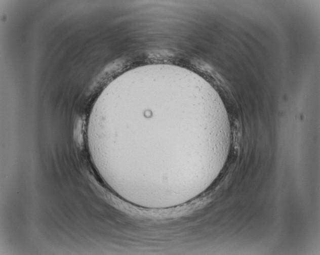 X0000085070038200704021422