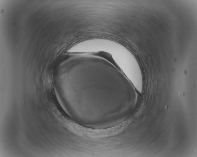 X0000085070039200704021422