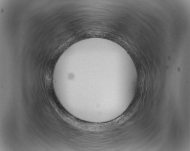 X0000085070040200704021422