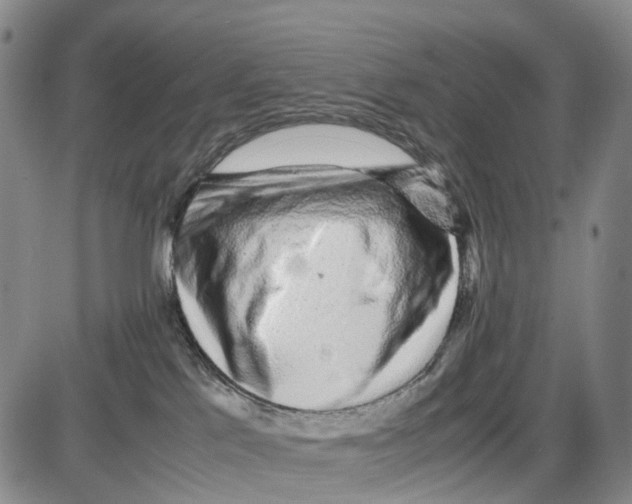 X0000085070041200704021422