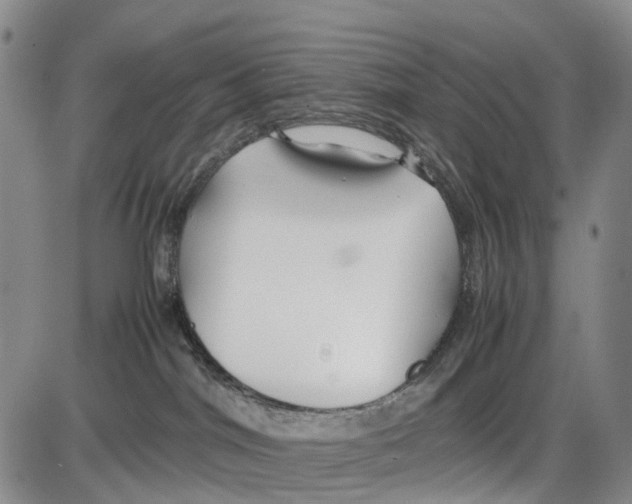 X0000085070044200704021422