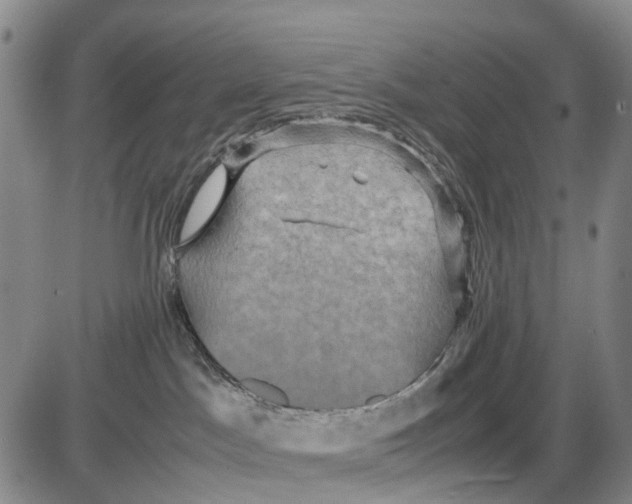 X0000085070045200704021422