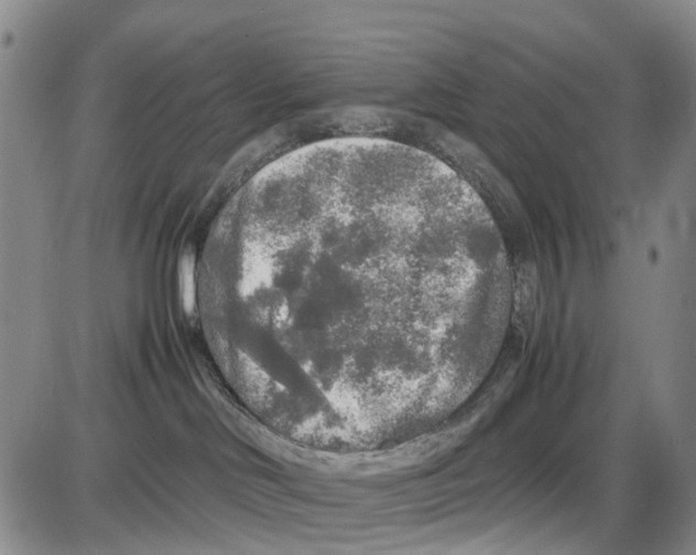 X0000085070046200704021422