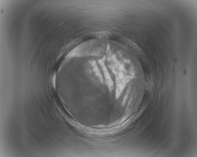 X0000085070047200704021422