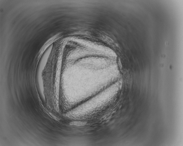 X0000085070051200704021421