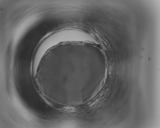 X0000085070052200704021421