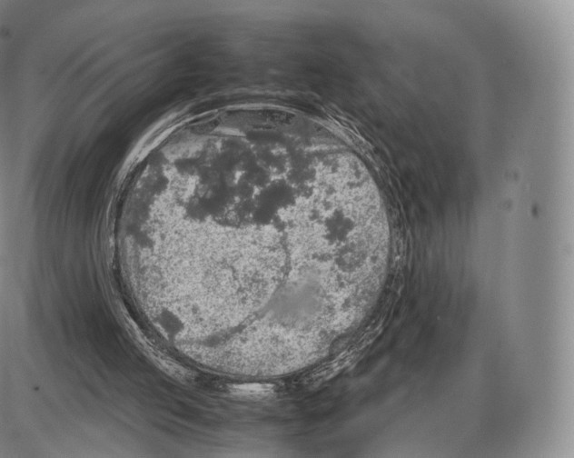 X0000085070053200704021421