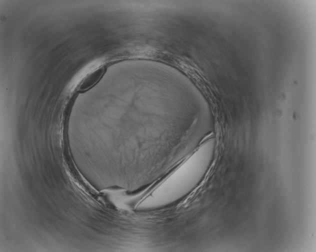 X0000085070054200704021421