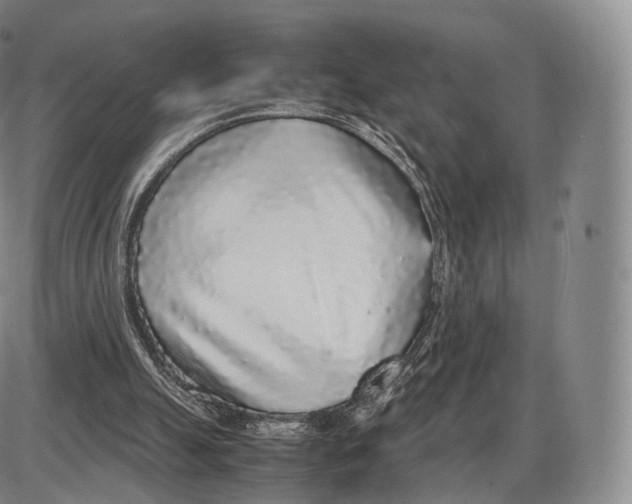 X0000085070055200704021421