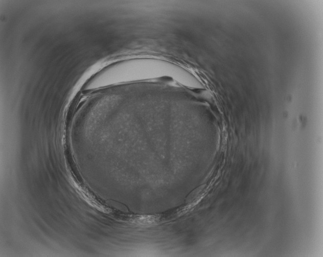 X0000085070056200704021421