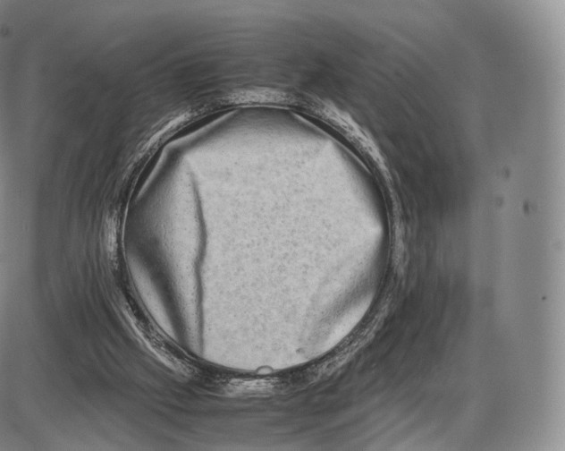 X0000085070057200704021421