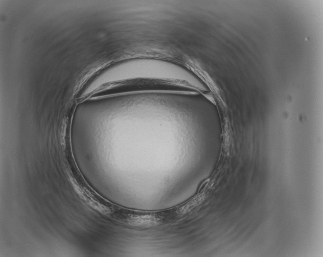 X0000085070058200704021421