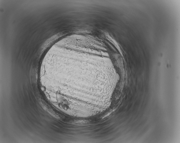 X0000085070059200704021421