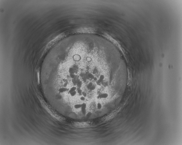 X0000085070061200704021421