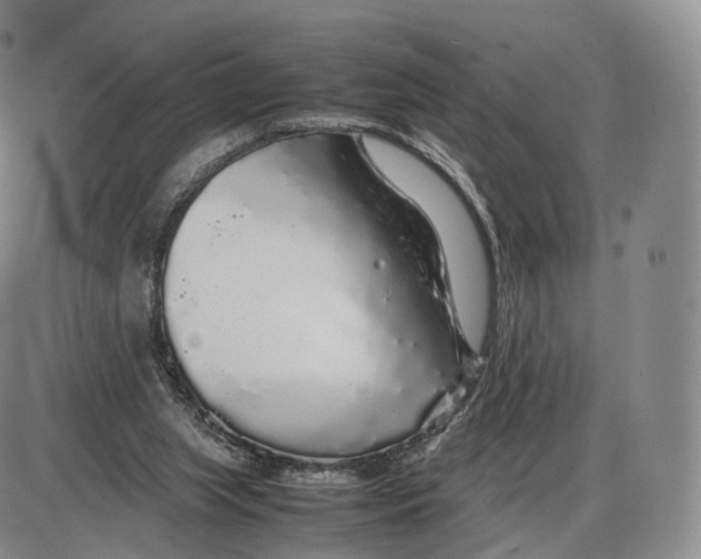 X0000085070063200704021421