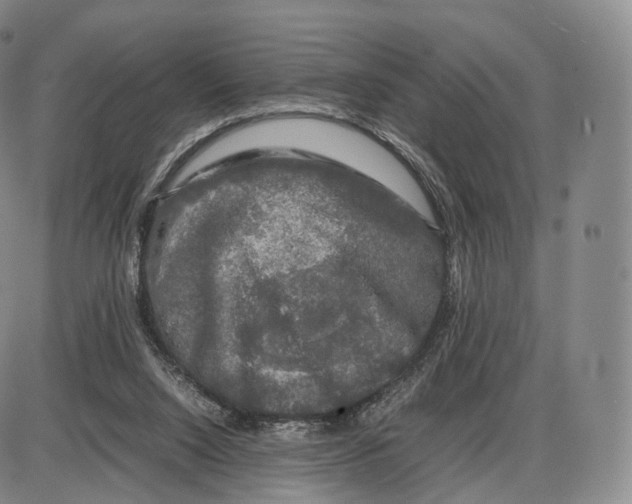 X0000085070064200704021421