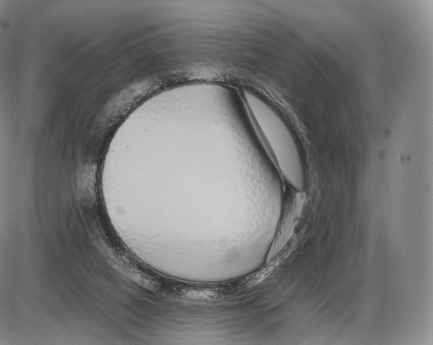 X0000085070066200704021421