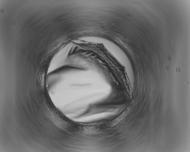 X0000085070070200704021422