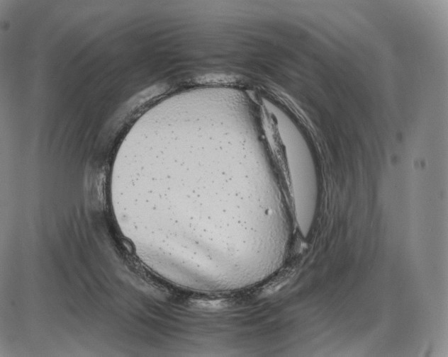 X0000085070071200704021422