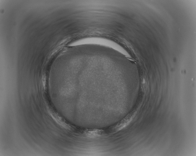 X0000085070072200704021422