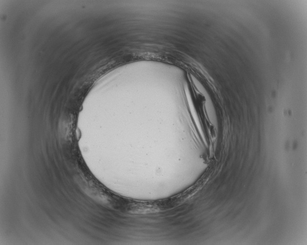 X0000085070073200704021422