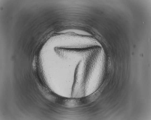 X0000085070074200704021422