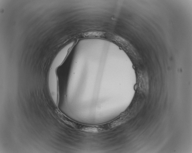 X0000085070075200704021422