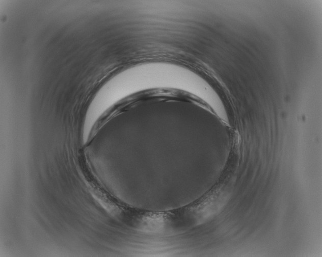 X0000085070076200704021422