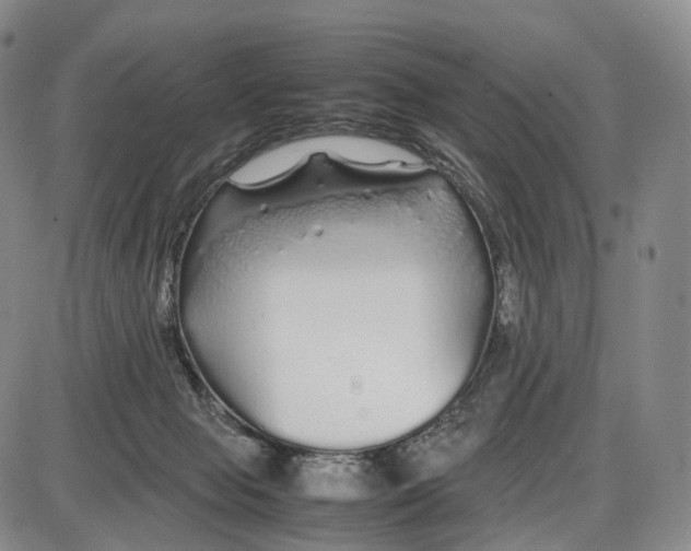 X0000085070077200704021422