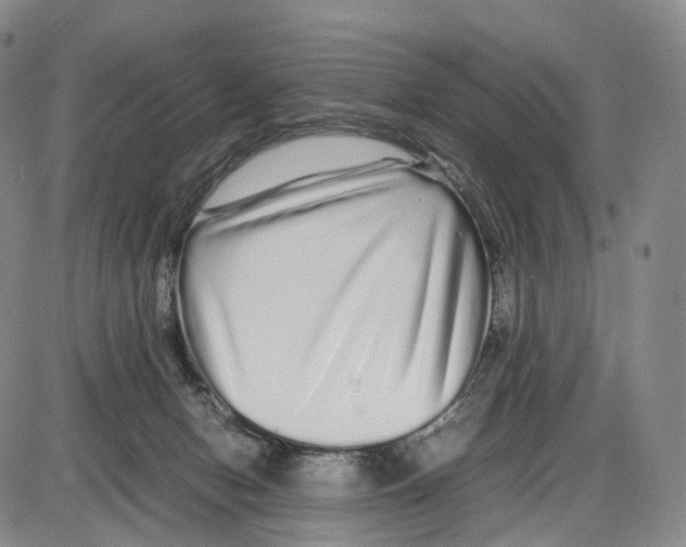 X0000085070078200704021422