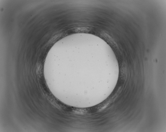 X0000085070079200704021422