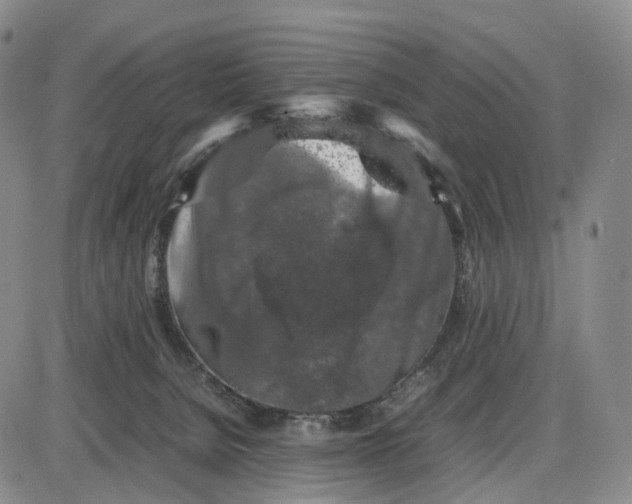 X0000085070080200704021422