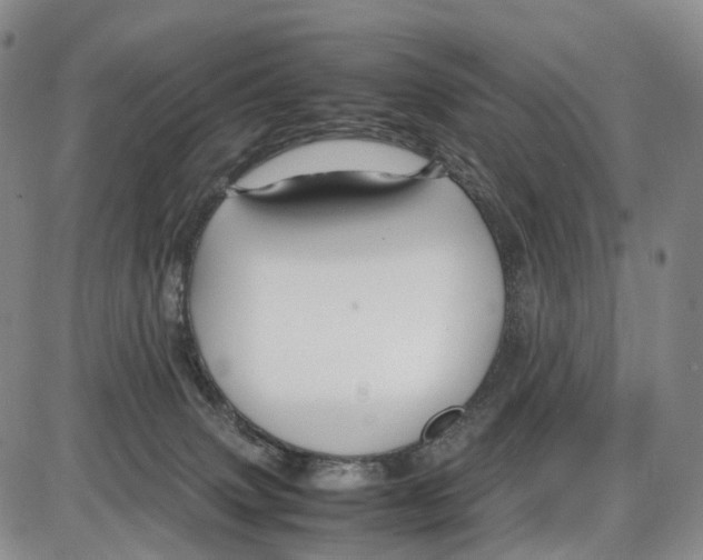 X0000085070083200704021422