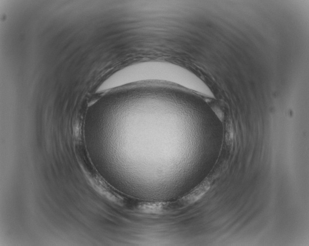 X0000085070084200704021422