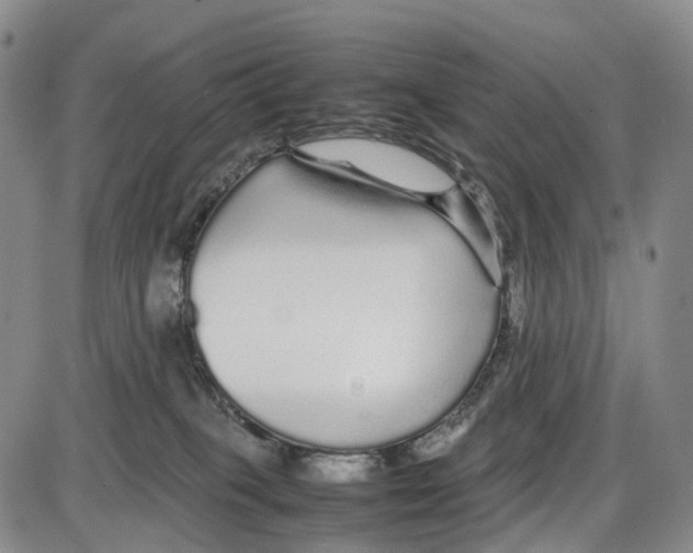 X0000085070085200704021422