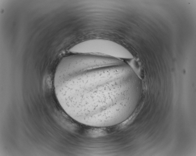 X0000085070086200704021422