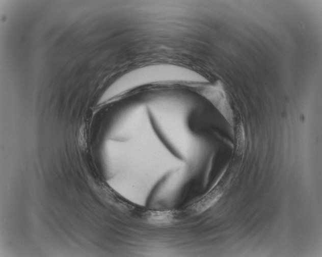 X0000085070088200704021422