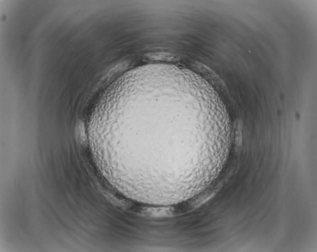 X0000085070089200704021422